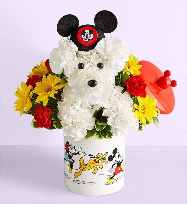 1-800-Flowers Everyday Gift Delivery Disney Mickey Mouse & Friends Cookie Jar - A - Dog - Able
