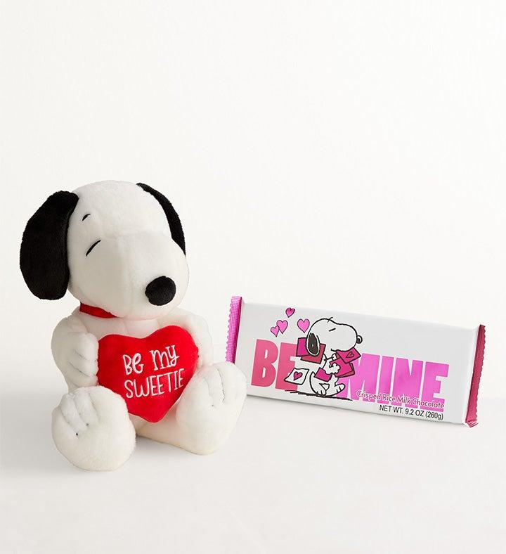 1-800-Flowers Seasonal Gift Delivery Snoopy Be My Sweetie & Chocolate Snoopy Plush & Chocolate