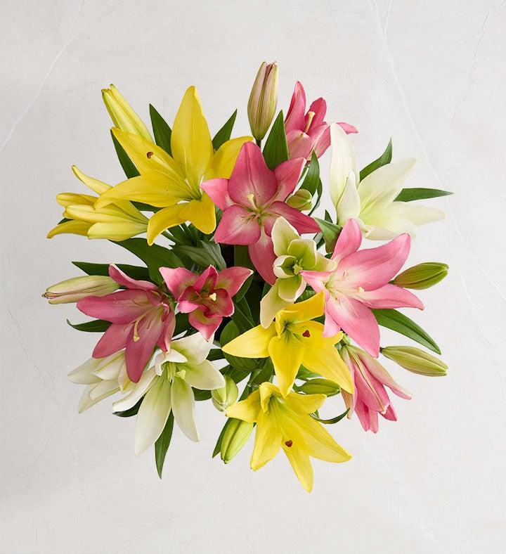 1-800-Flowers Seasonal Gift Delivery Sweet Spring Lily Single Bouquet Only
