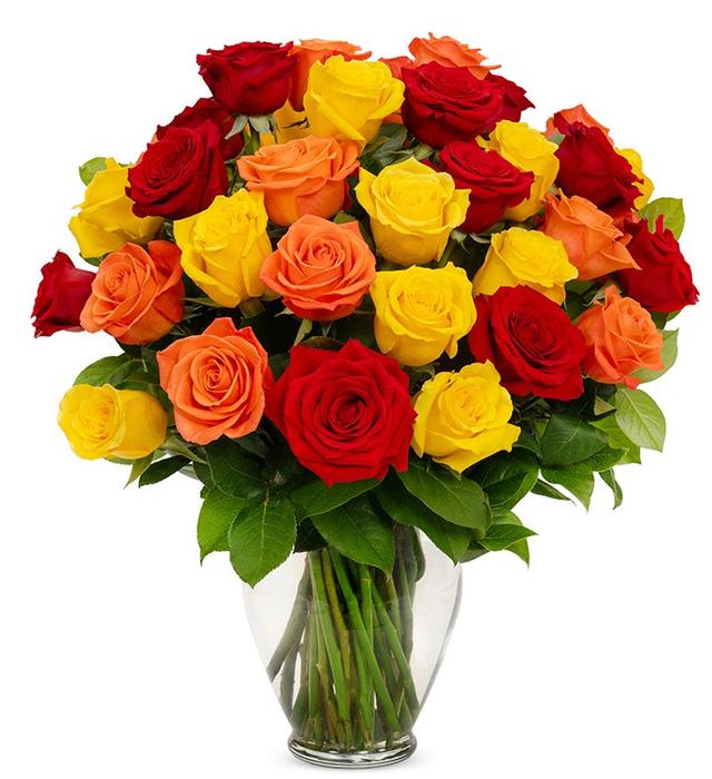 Red Yellow & Orange Roses 36 - 6 Stems | 24 | Floral Bouquet