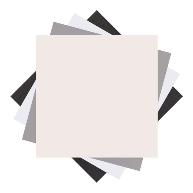 Cricut Cardstock Sampler | Basics | 12" x 12" | White/Black