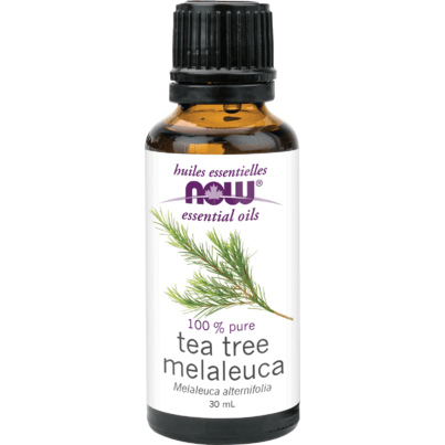 NOW Essential Oils 100% Pure Tea Tree Oil