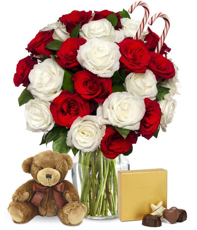 Two Dozen Candy Cane Roses with Chocolates and Bear