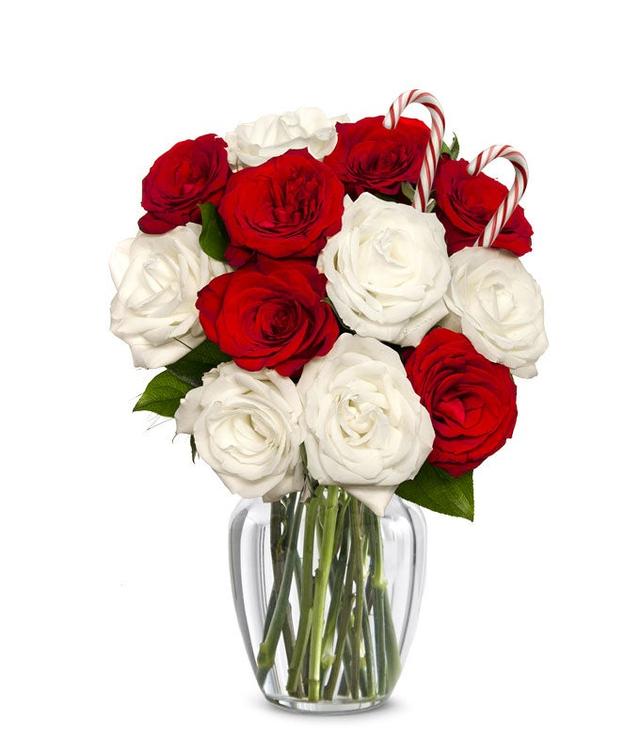Sweet Candy Cane Rose Bouquet