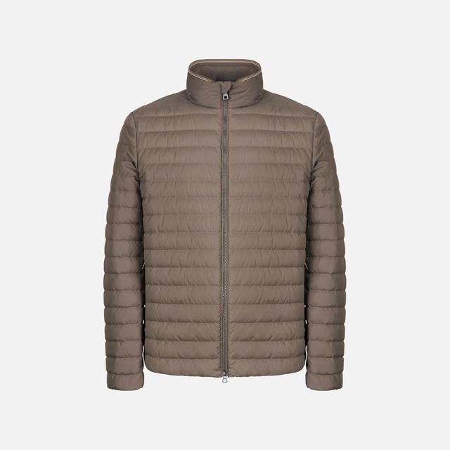 GEOX Warrens Man Bungee Cord, Size: 52