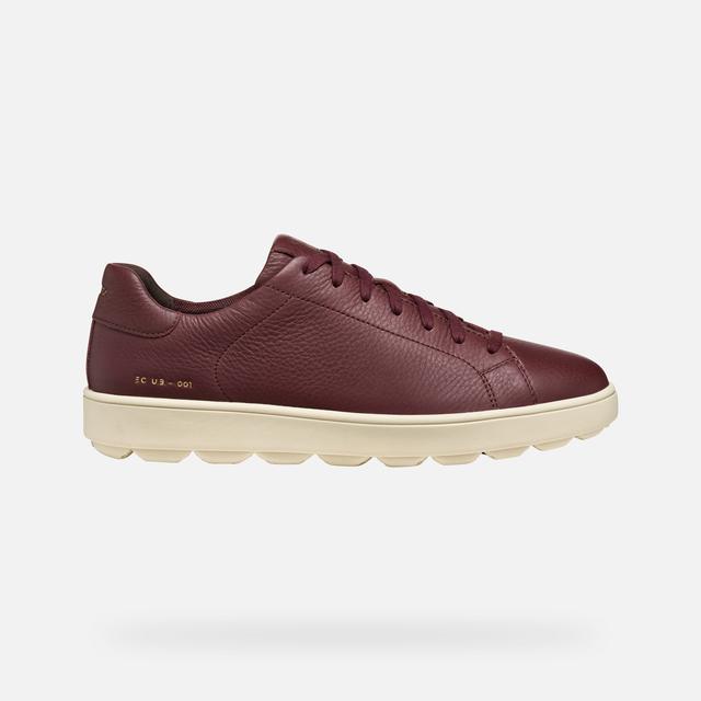 GEOX Spherica Ecub-1 Homme Bordeaux, Size: 45