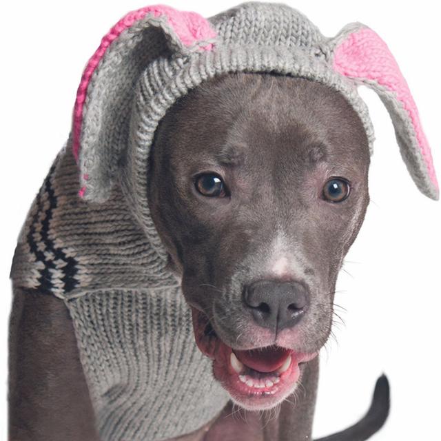 Chilly Dog Bunny Dog & Cat Hoodie, XX-Large