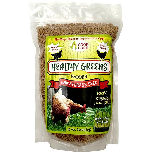 Coop Care Healthy Greens Wheatgrass Fodder Chicken Feed, 16-oz pouch