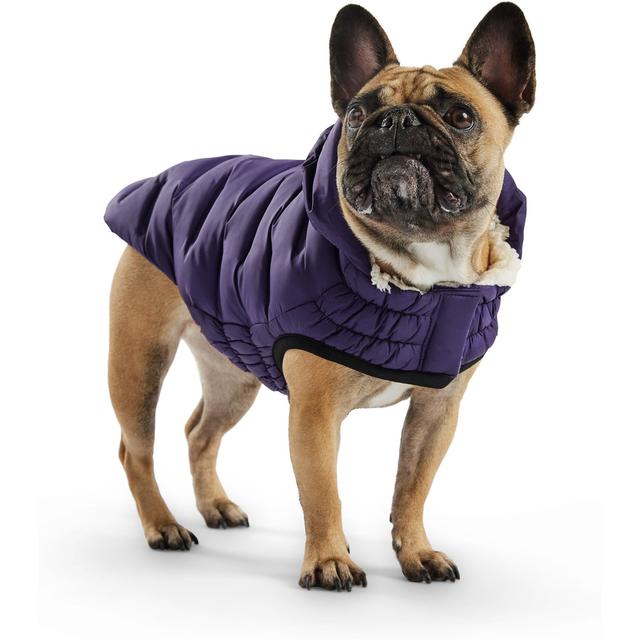 GF Pet Cloud Parka Dog Coat, Purple, Large
