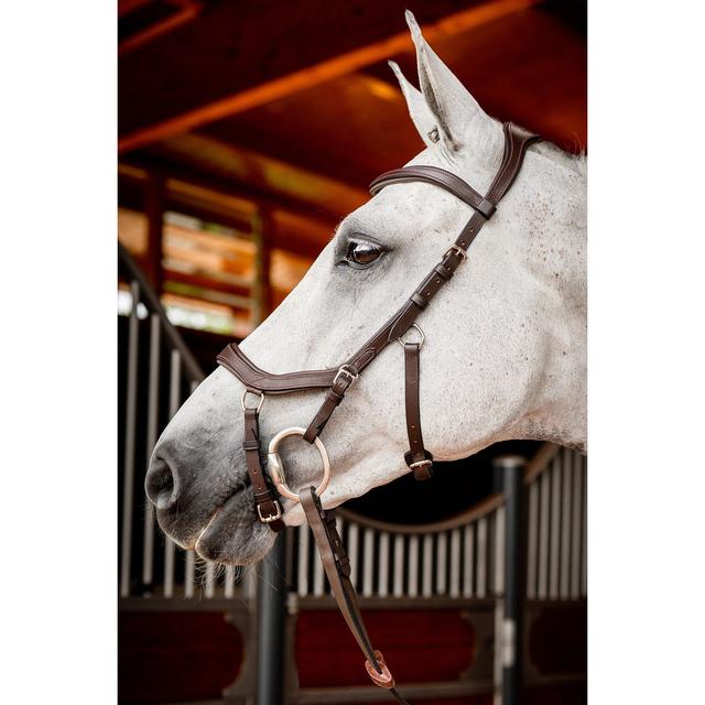 Horseware Ireland Micklem 2 Competition Horse Bridle with Reins, Brown, Large Horse