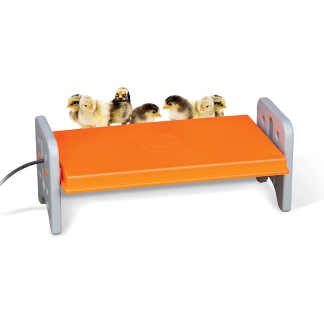 K&H Pet Products Thermo-Poultry Brooder