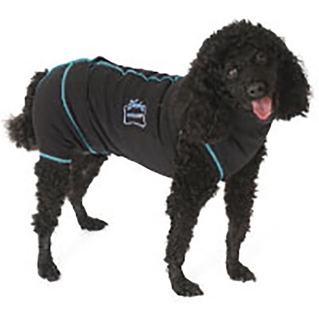 Medipaw Recovery Protective Dog Suit, Small