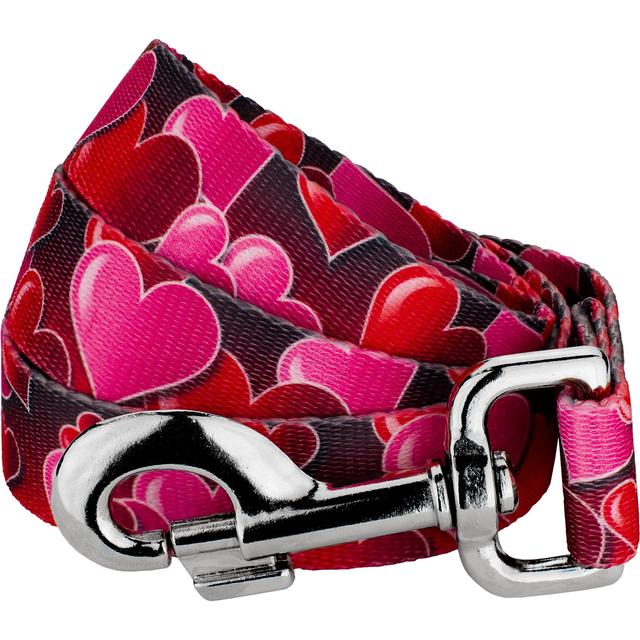 Country Brook Design Romantic Hearts Dog Leash, Red, Large: 6-ft long, 1-in wide