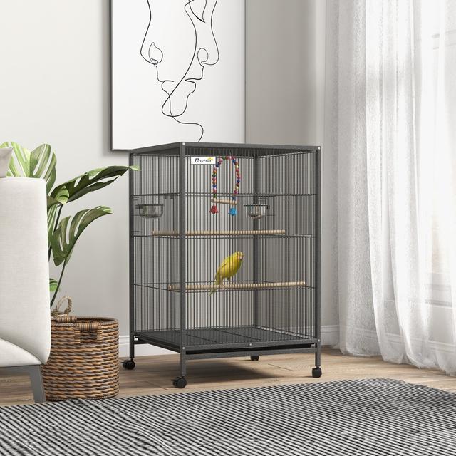 Little Pals 30-in Metal Bird Cage