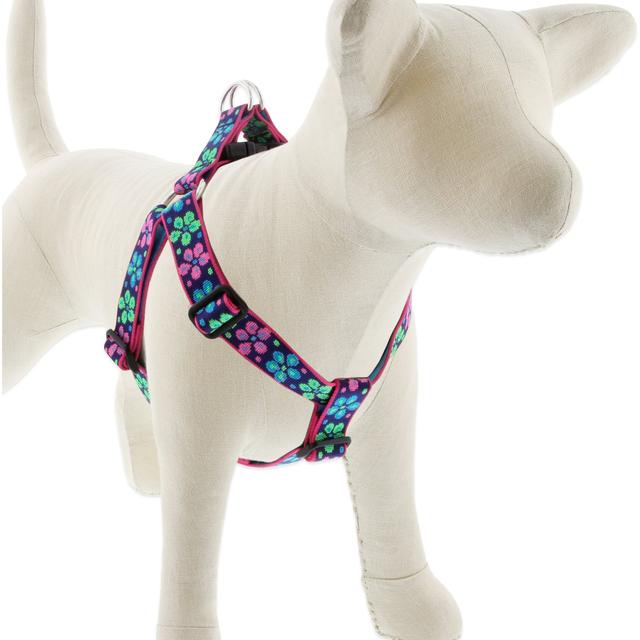 LupinePet Original Designs Flower Power Step In Dog Harness, Large: 24 to 38-in chest, 1-in wide