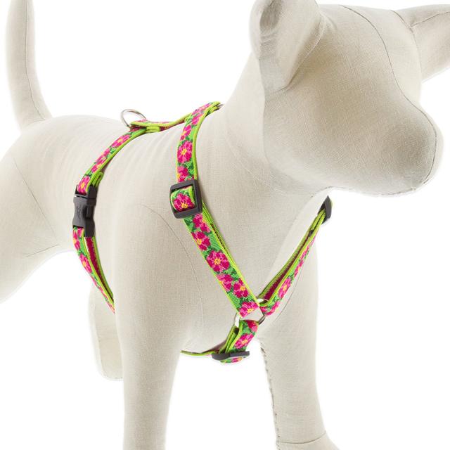 LupinePet Original Designs Petunias Adjustable Dog Harness, Medium: 14 to 24-in chest, 3/4-in wide