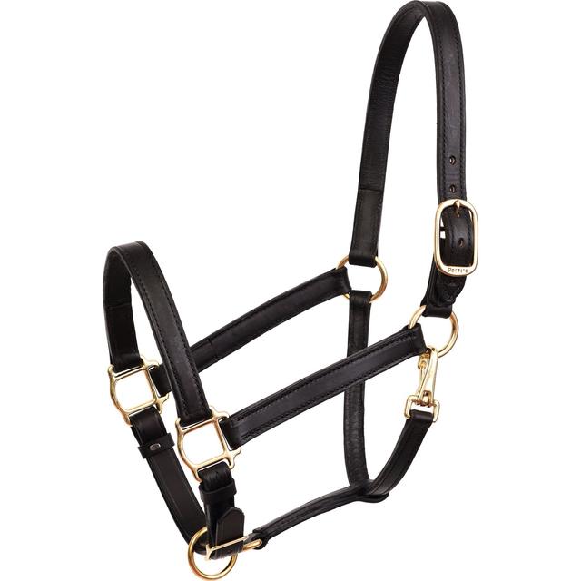 Perri's Leather 1-in Turnout Horse Halter, Black, Cob