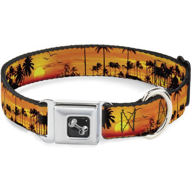 Buckle-Down Golden Sunset Dog Collar, Medium: 11 to 16.5-in neck, 1-in wide