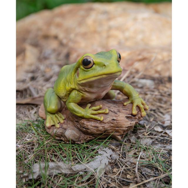 Hi-Line Gift White's Tree Frog Statue, 3.86-in