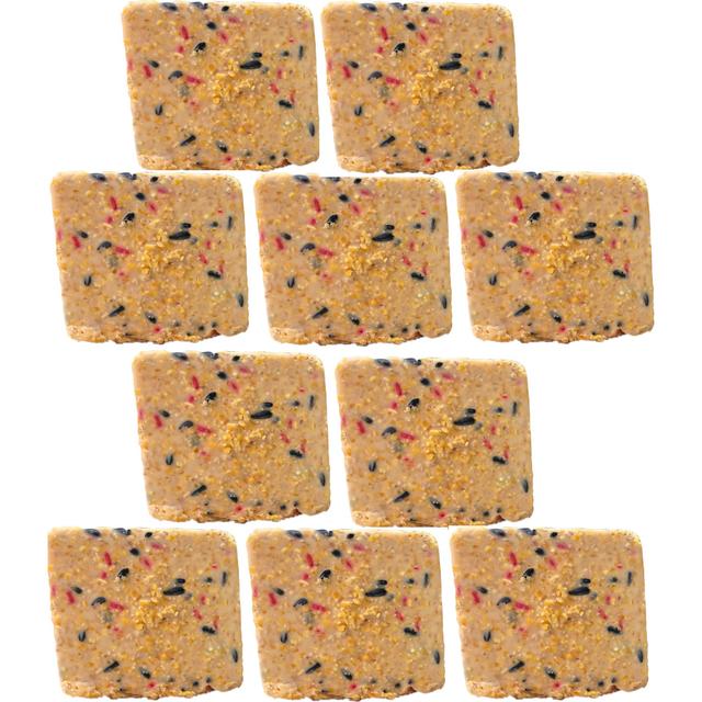 Wildlife Sciences Berry Suet Wild Bird Food, 10 count