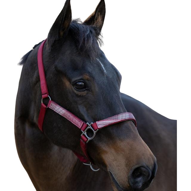 Kensington Protective Products Premium Reflective Horse Nylon Breakaway Halter, Red/Merlot, Horse