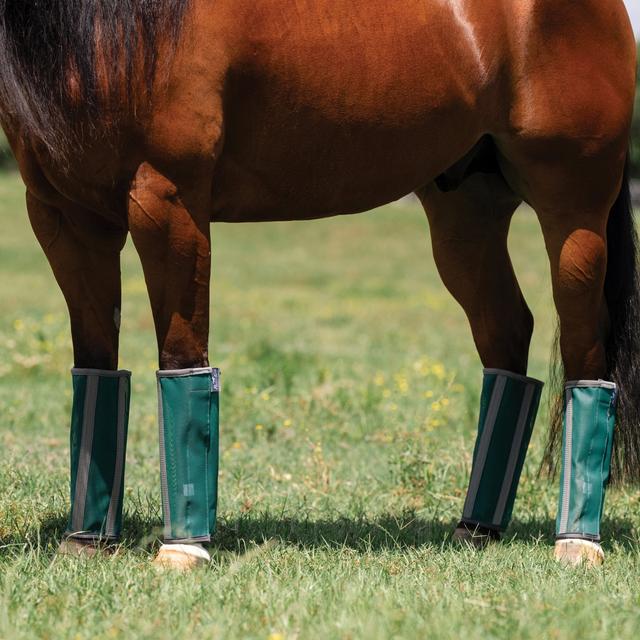 Professional's Choice Deluxe Fitted Horse Fly Boots, 4 count, Emerald, Large