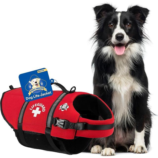 Paws Aboard Lifeguard Neoprene Dog Life Jacket, Medium
