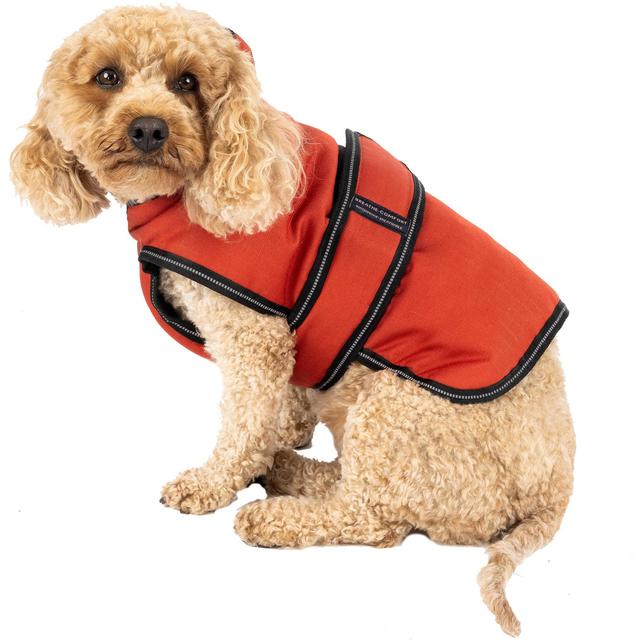 PetRageous Designs Juneau Insulated Dog Jacket, Red, Small