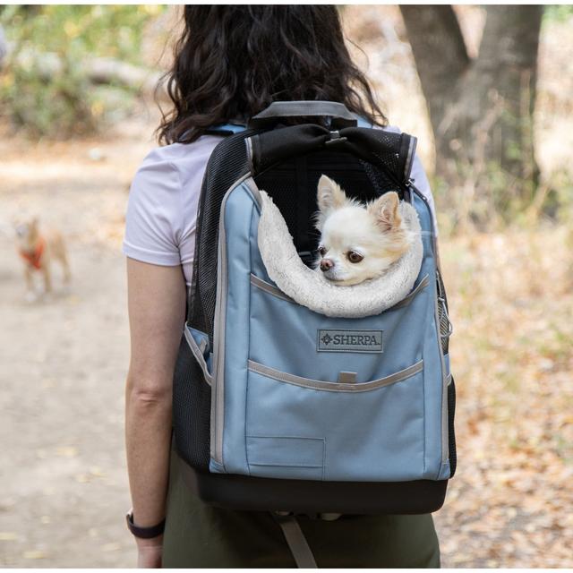 Sherpa Elevation Backpack Dog & Cat Carrier, Blue, Medium
