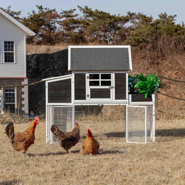 Win World Blooming Chicken Coop, Black