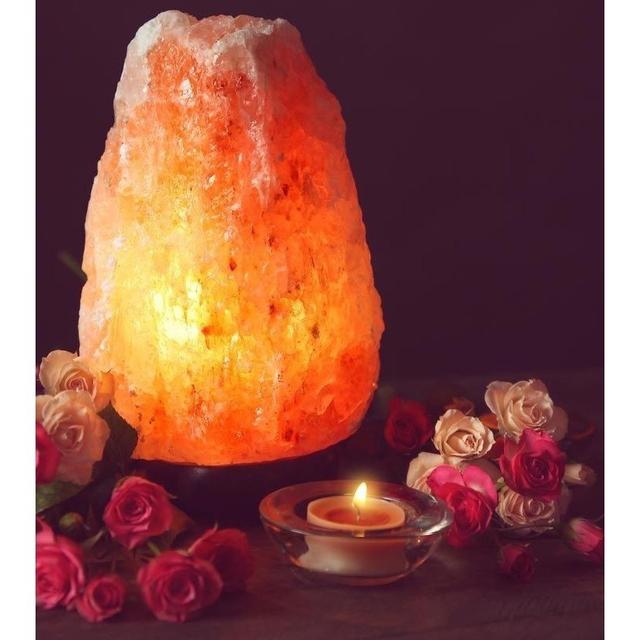 TEMU Lampe de de l'Himalaya : Naturelle 4-6 Kg (Taille L avec variateur)