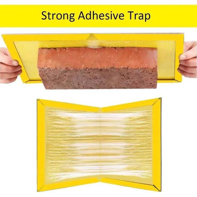 TEMU Traps - 2 Pack Pest Sticky Boards Extra Strong Multi-use Boards Sticky Effective For Home Household Outdoor Indoor Garage Garden.