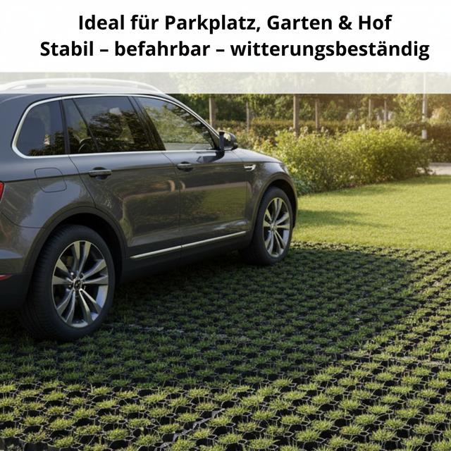 TEMU Lawn Grid 5 M² (20 Pieces) Plastic Paddock Panels Black