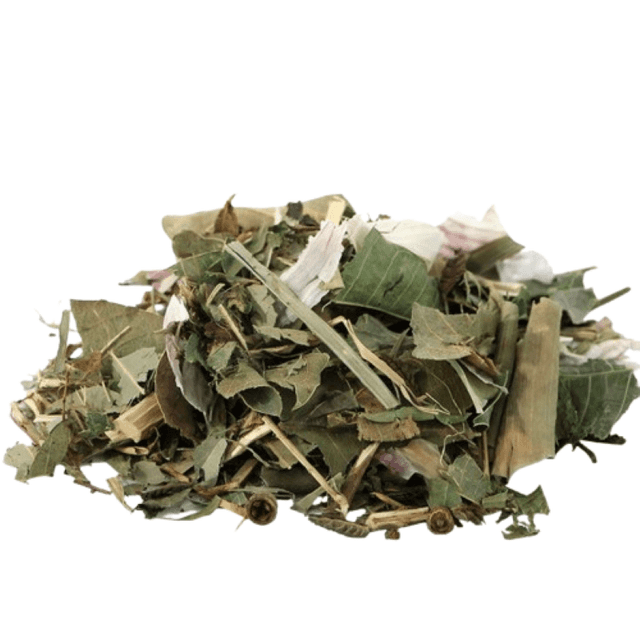 TEMU Banho 21 - para