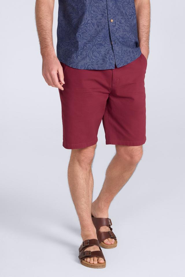 Woods Mens Chino Shorts - Burgundy