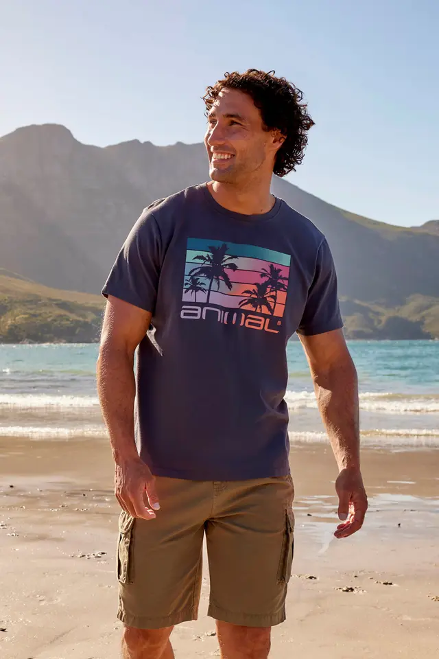 Classico Wave Mens T-Shirt - Grey