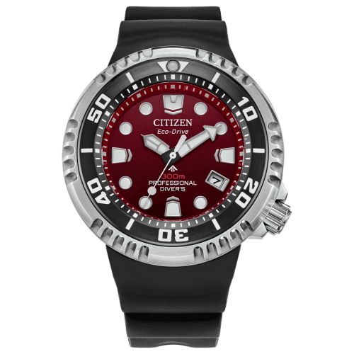 Citizen Promaster Dive E365 BN1024-01Z Professional Diver's Watch
