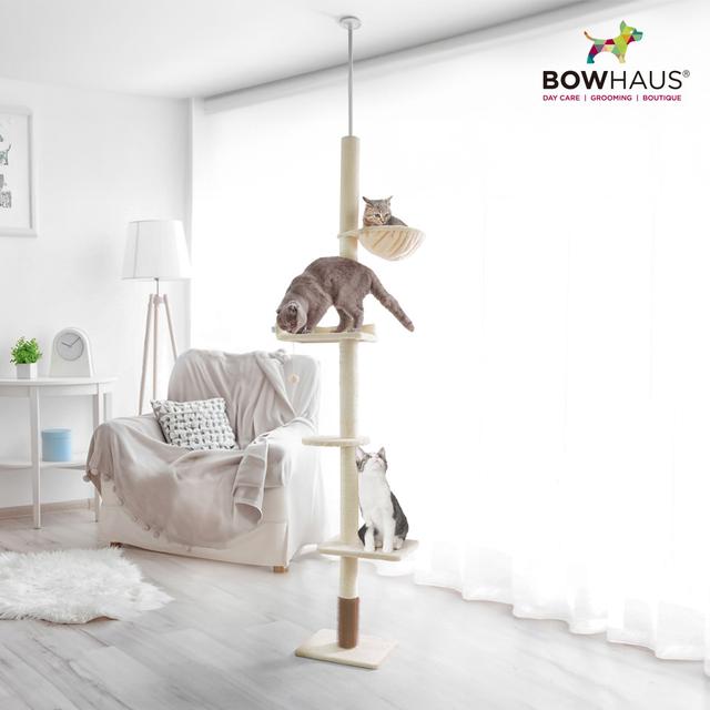 TEMU Cat Tree, Adjustable Height 104”-115” Multi-tier Cat Climbing Tower W/ Itching Scratcher, Cozy , Interactive , Platforms For Indoor Cats, & Dark Grey