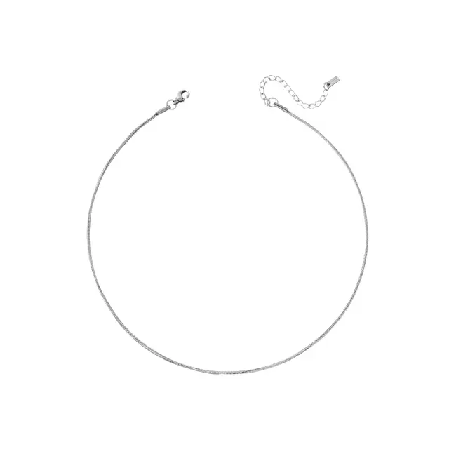 TEMU 1pc 35cm Women's Minimalist Collarbone Chain 1.2 Stainless Steel Round Snake Necklace Short Necklace
