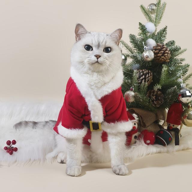 TEMU 1pc Pet Christmas , Bathrobe Plush Adjustable Cat Coat Dogs Christmas For Stuffers