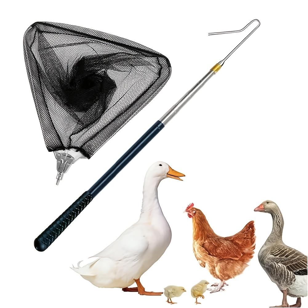TEMU Rede de Apanha Galinhas Melhorada e Gancho para para Apanhar Galinhas, Apanhador Longo Retrátil Durável em Aço Inoxidável, Ferramentas Agrícolas para Aves, Incluindo Galinhas, , Gansos, , e