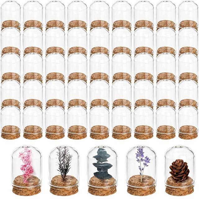 TEMU Ensemble de 50 pots cloche, récipients en verre avec bouchons en liège, cloches en verre de 8 ml avec bases, idéaux pour des spécimens, conserver des fleurs, présenter de ou cadeaux de fête