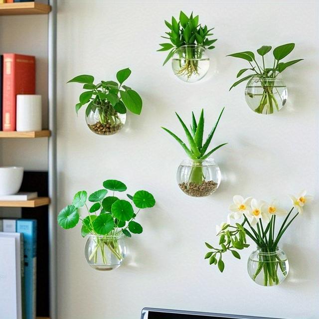 TEMU Wall Mounted Hydroponic Vase/ Plants Propagation Station/ Glass Planter Vase, Transparent Wall Planters For Indoor Plants, Hanging Glass Air Plant Holder (2/4/6)