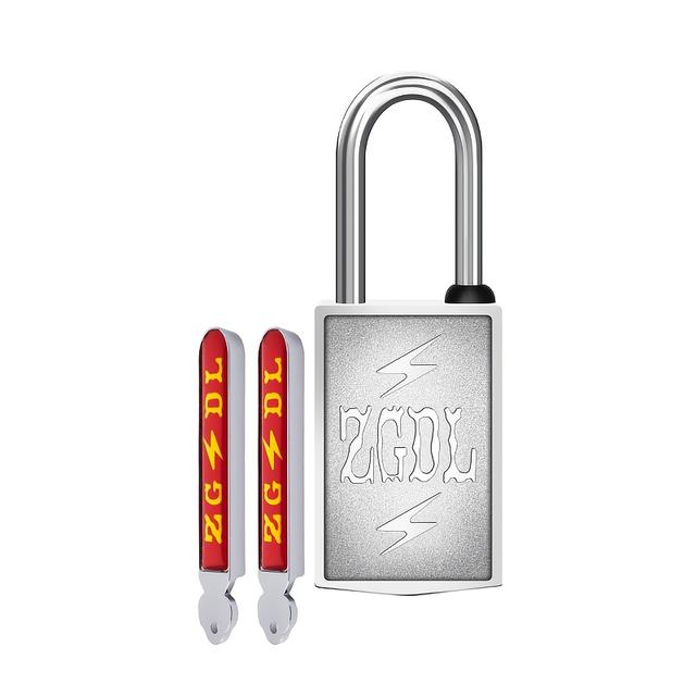 TEMU 2025 New Padlock With No Keyhole. Anti-theft And Anti-pick Lock, Alloy Metal. With 2 Magnetic Strip Keys For Indoor/outdoor Use.