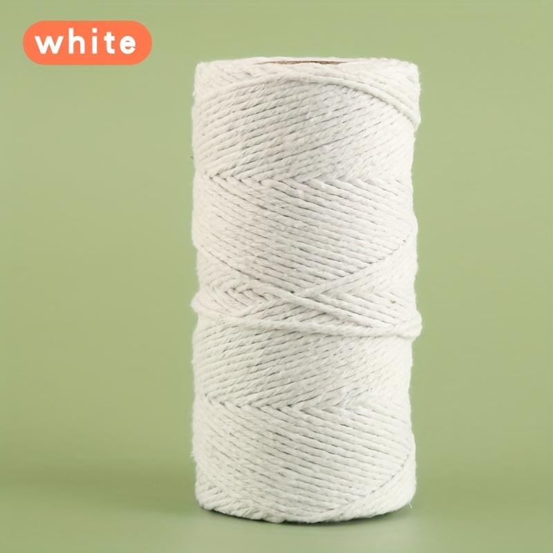 TEMU 21 Colors 2mm 100m Rice Dumpling String Wrapping Rope Food Twine Thick Cord