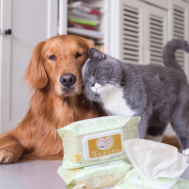 TEMU Pet Wipes For Cats And Dogs To Wipe Tear Marks And Parts, Free Washing, Deodorizing And Cleaning Wet Wipes, 80pcs Per Pack