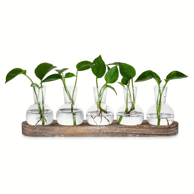 TEMU 5pcs Propagation Station For Plant Lovers: Glass Vases With Brown Wooden Tray For Planters Living Room Table Decoration - Desktop Terrarium Hydroponics For Flowers Plants Herbs
