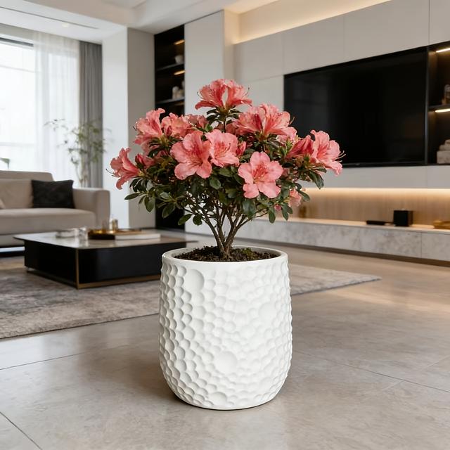 TEMU 1pc Large Modern Oval Planter With Drainage Hole & Tray - Heavy-duty Resin Plant Pot Suitable For /outdoor Use, Planter For,, Balcony -