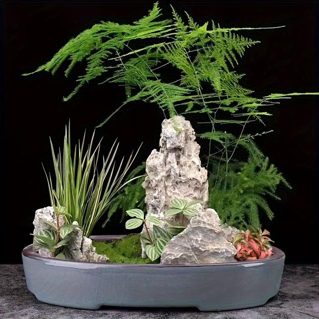 TEMU de Cerámica para Suculentas, con Diseño Rectangular y Bambú Pintado a , Ideal para Decoración Minimalista de Interiores. Regalo de Jardinería, Decoración del Hogar