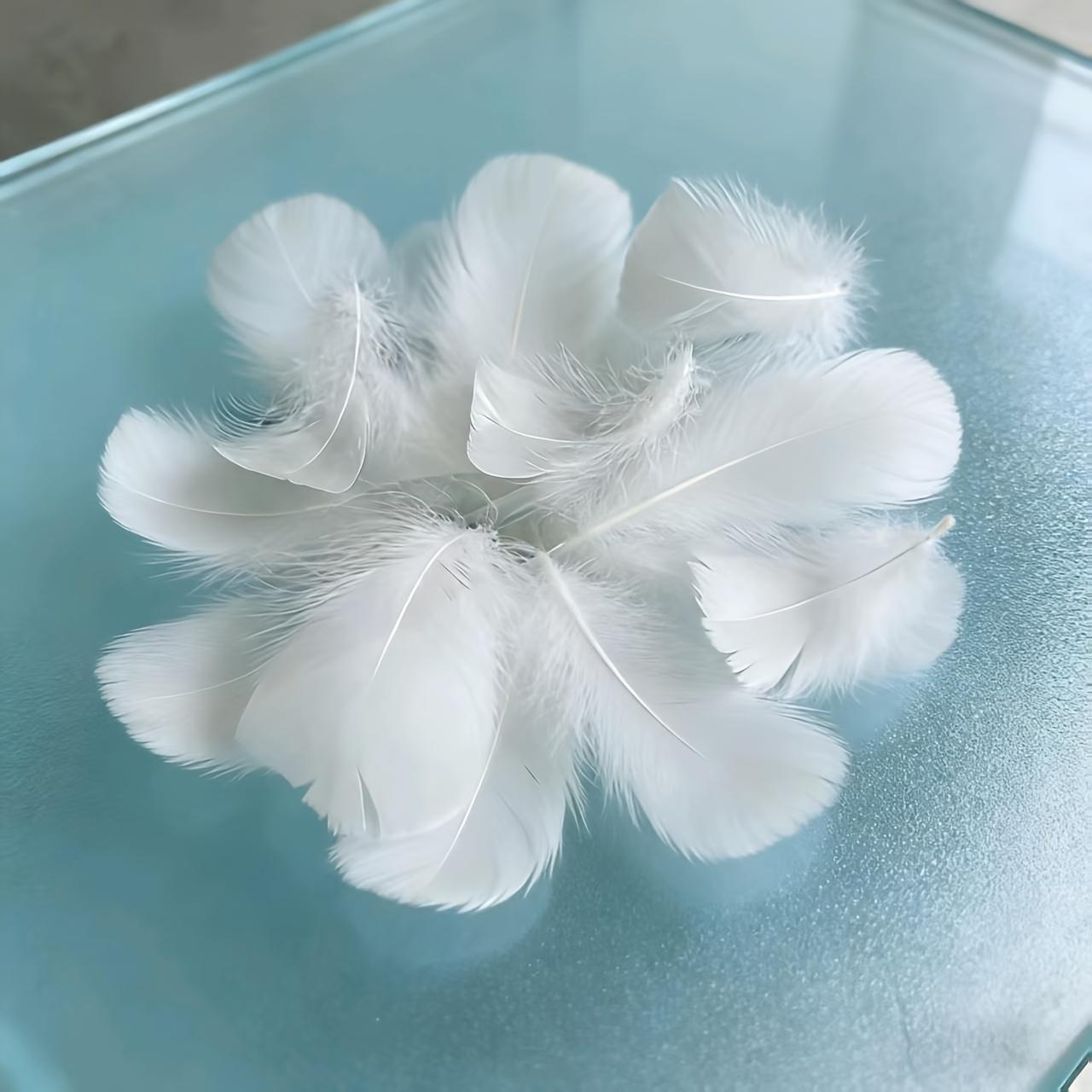 TEMU 100 Plumas Falsas Adicionales, una Opción Creativa para Entusiastas #Diyaccessories #Craftsupplies